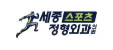 partner-세종스포츠